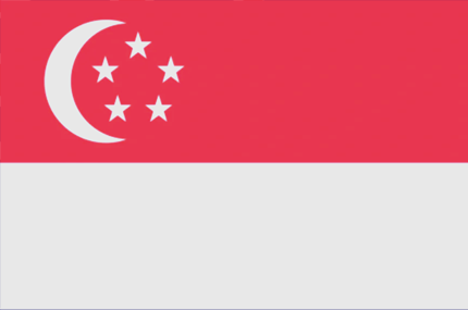 新加坡公司注册